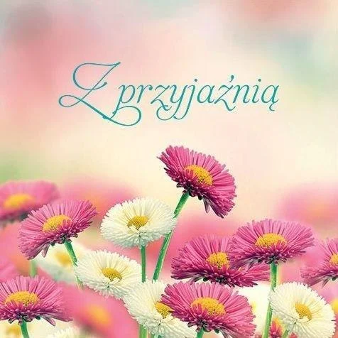 edukamp-420260613101437253028
