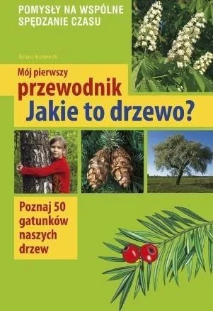 edukamp-420260613172012292454