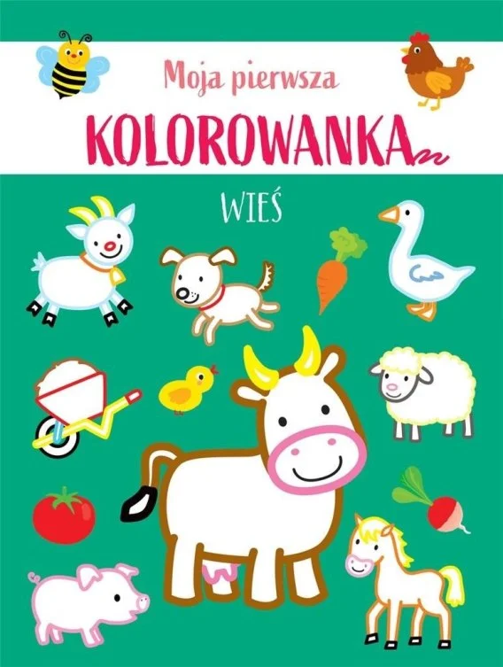 edukamp-420260613184337305792