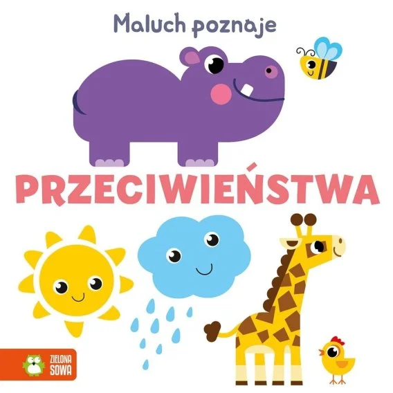 edukamp-420260614074601382438