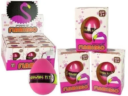 edukamp-420260614111422391453