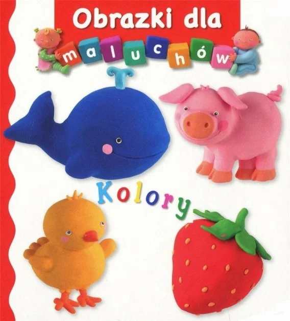 edukamp-420260614111727391599