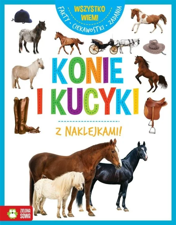 edukamp-420260614153807421696