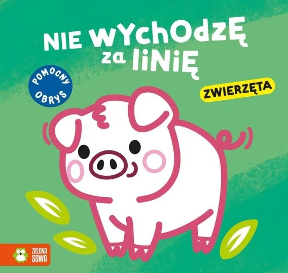 edukamp-420260614184333457260