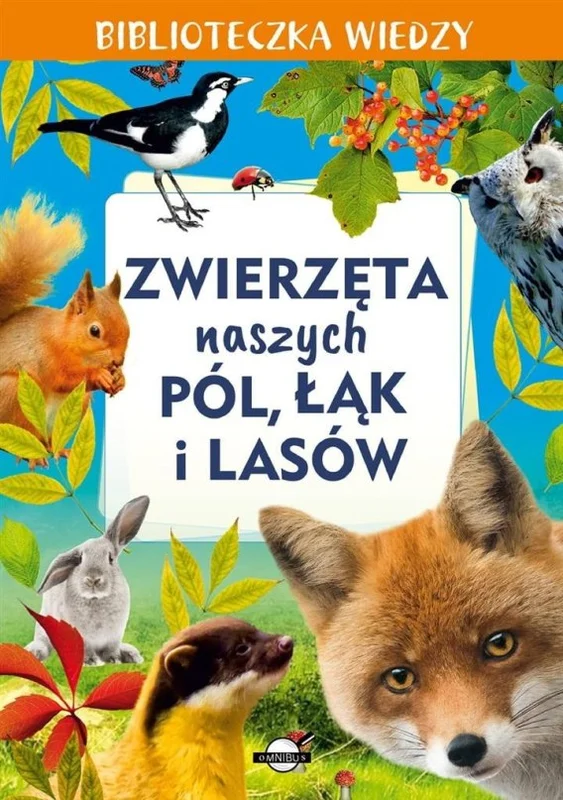 edukamp-420260614221021481717