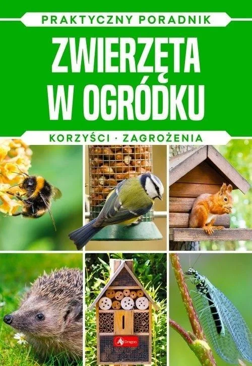 edukamp-420260614222830483470