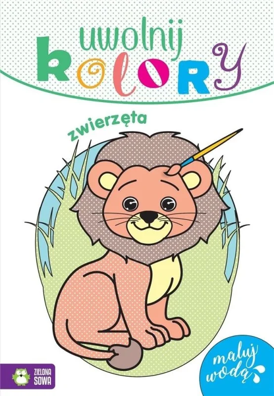 edukamp-420260614230726487039
